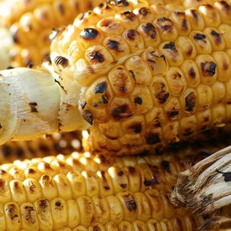 Jagung Bakar